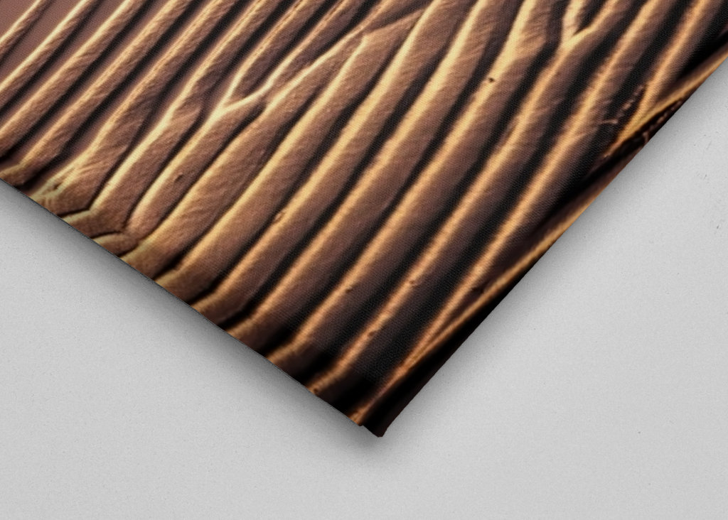 Bord de plage au coucher du soleil