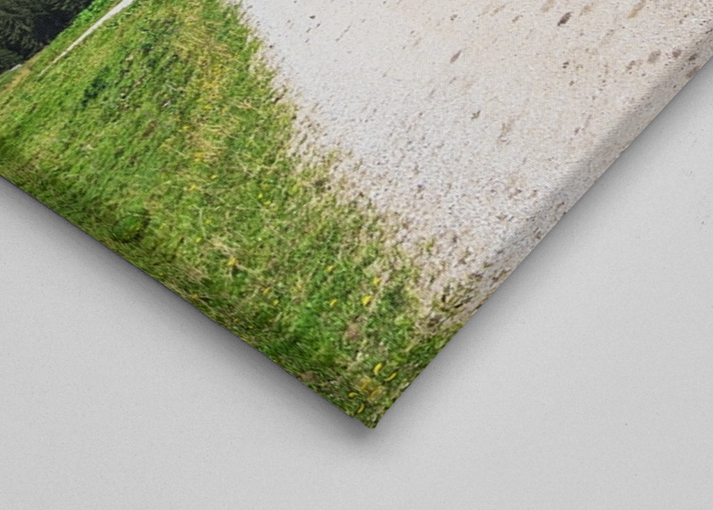 Litzlalm avec cabane