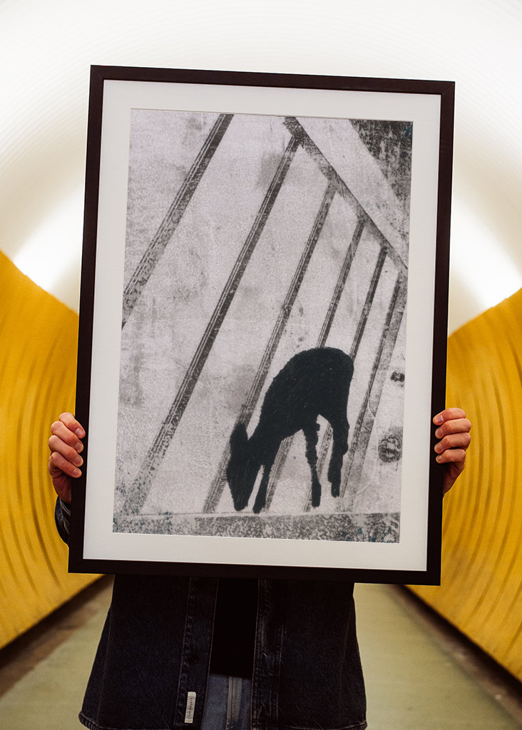 Hjort foran Bauhaus-arkitektur