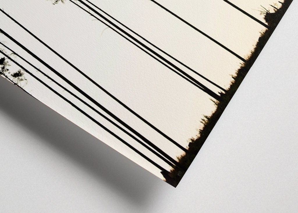 The forest and the twilight