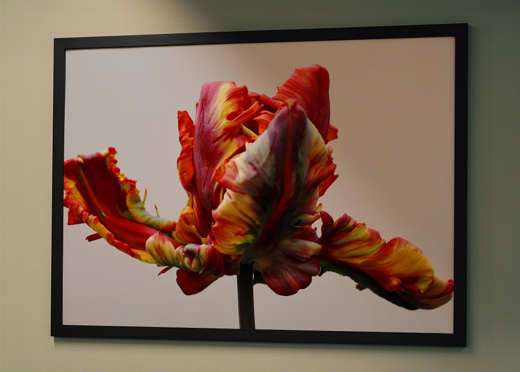 Inspirasjon til våren