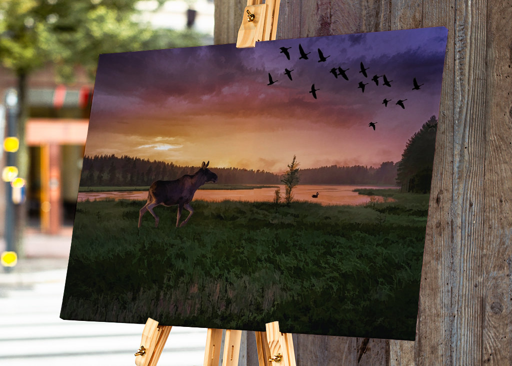 Moose by the lake in sunset