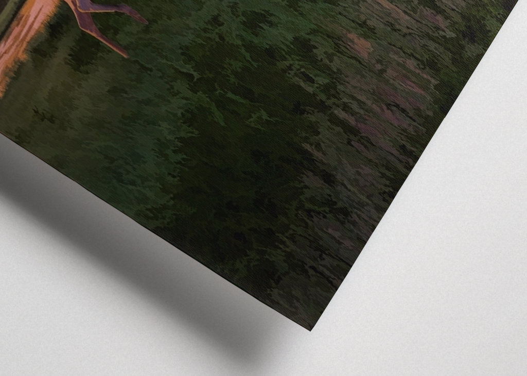 Moose by the lake in sunset