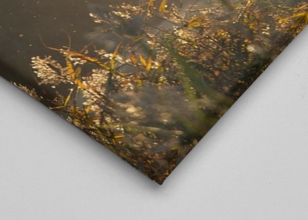 Un soupçon d’automne