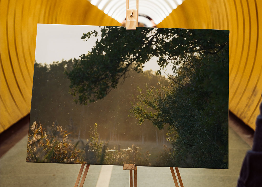 Un soupçon d’automne