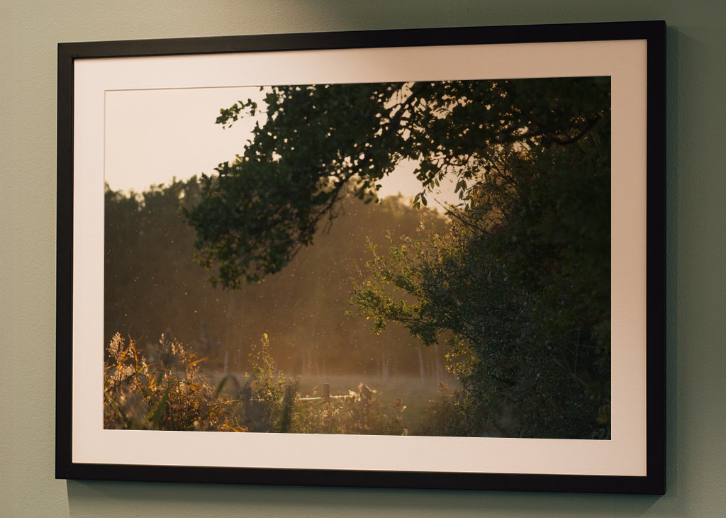 Un soupçon d’automne