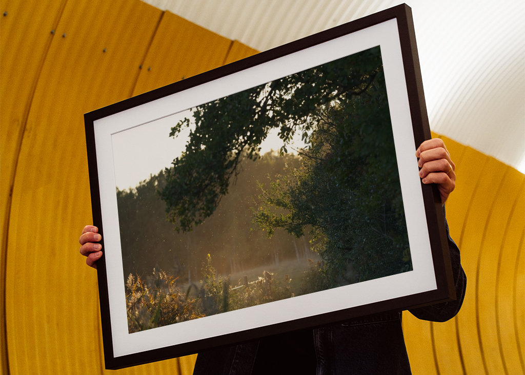 Un soupçon d’automne