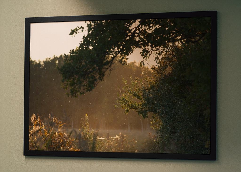 Un soupçon d’automne