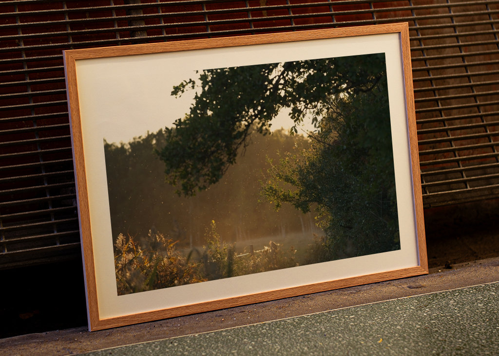 Un soupçon d’automne