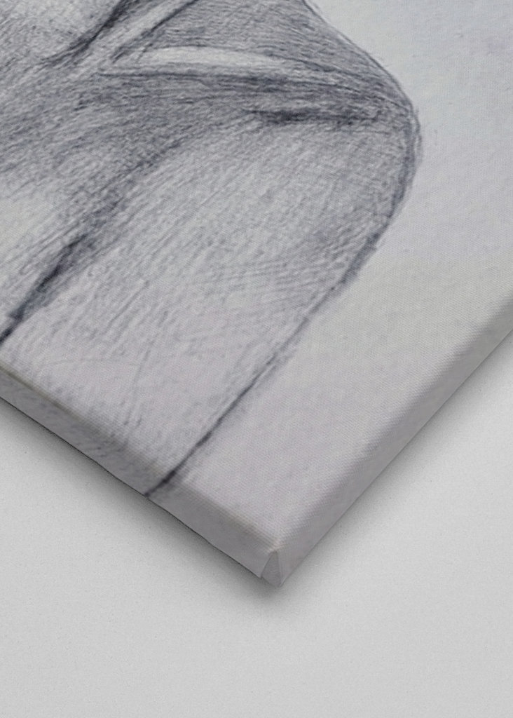 Le portrait d’une dame