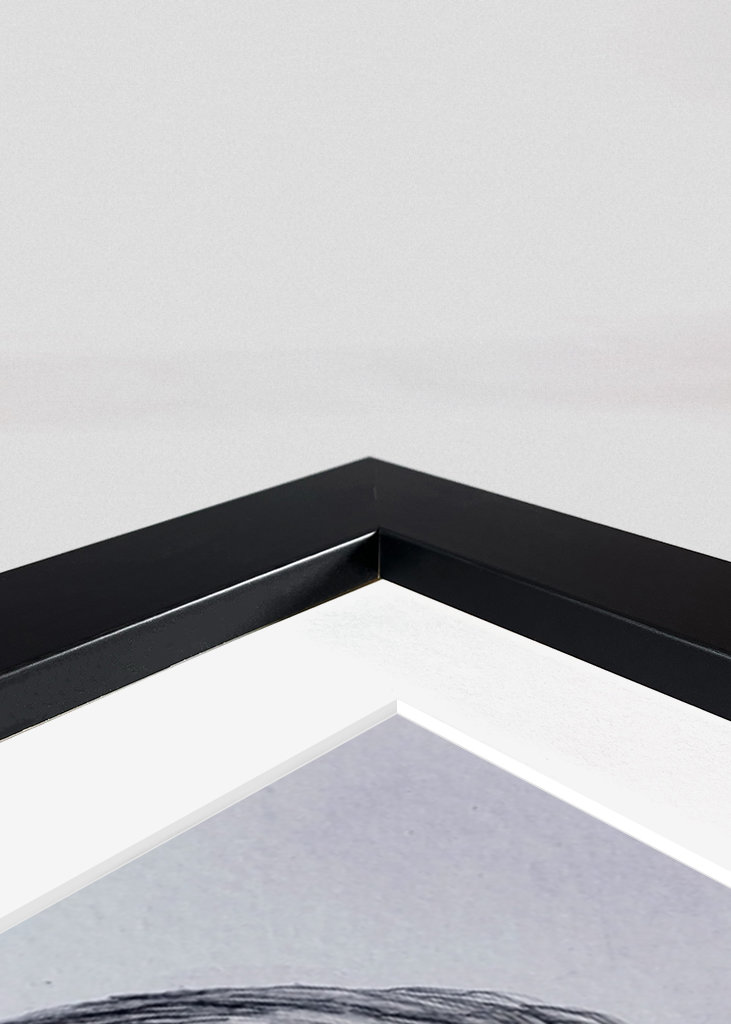 Le portrait d’une dame