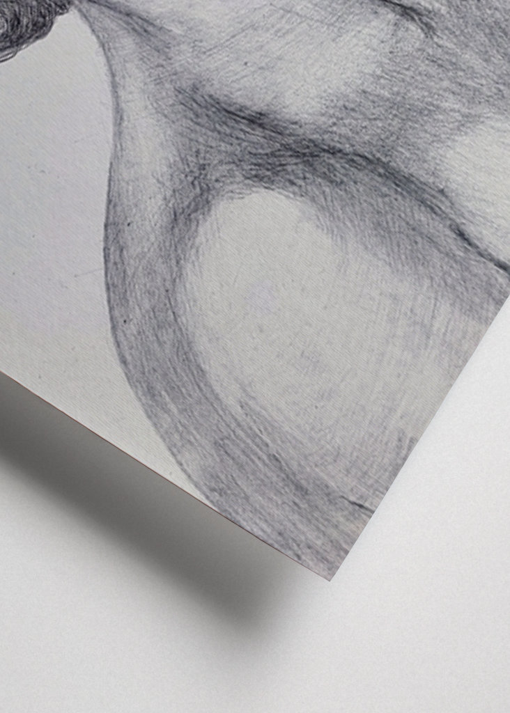 Le portrait d’une dame