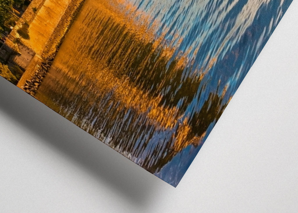 Château de Montfort sur le lac de Constance