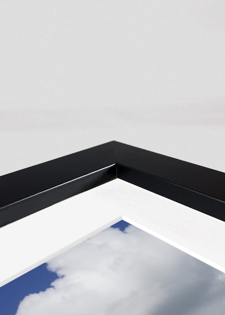 Castello di Lichtenstein in estate