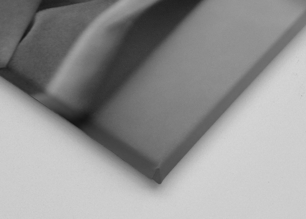 Chat (Ragdoll) noir et blanc