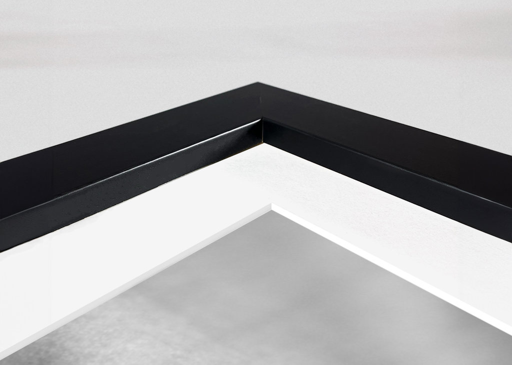 Chat (Ragdoll) noir et blanc