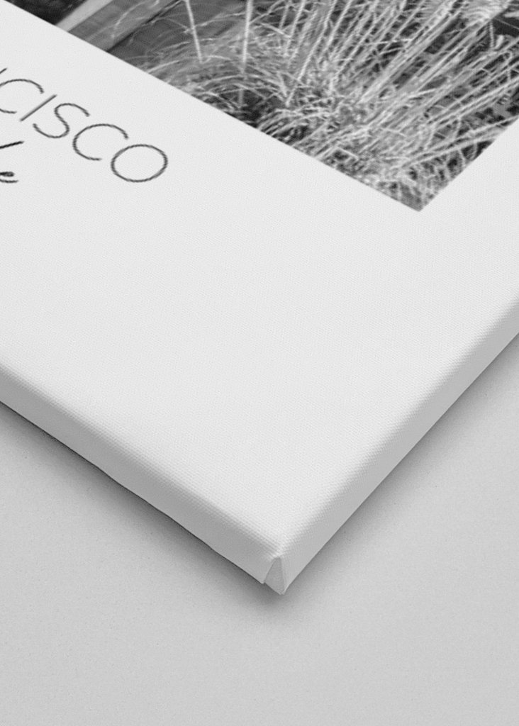 Point de mire : Golden Gate Bridge