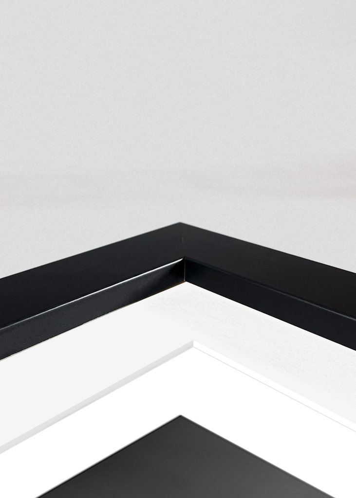 Point de mire : Golden Gate Bridge