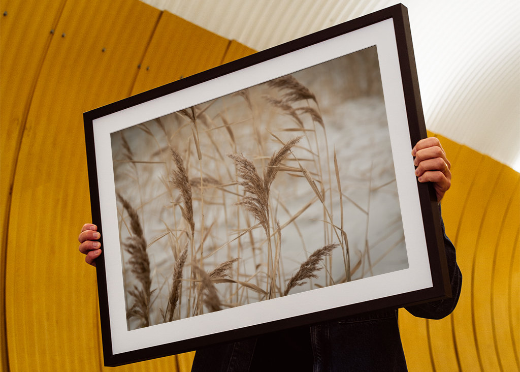 Duinen aan zee | Strand foto