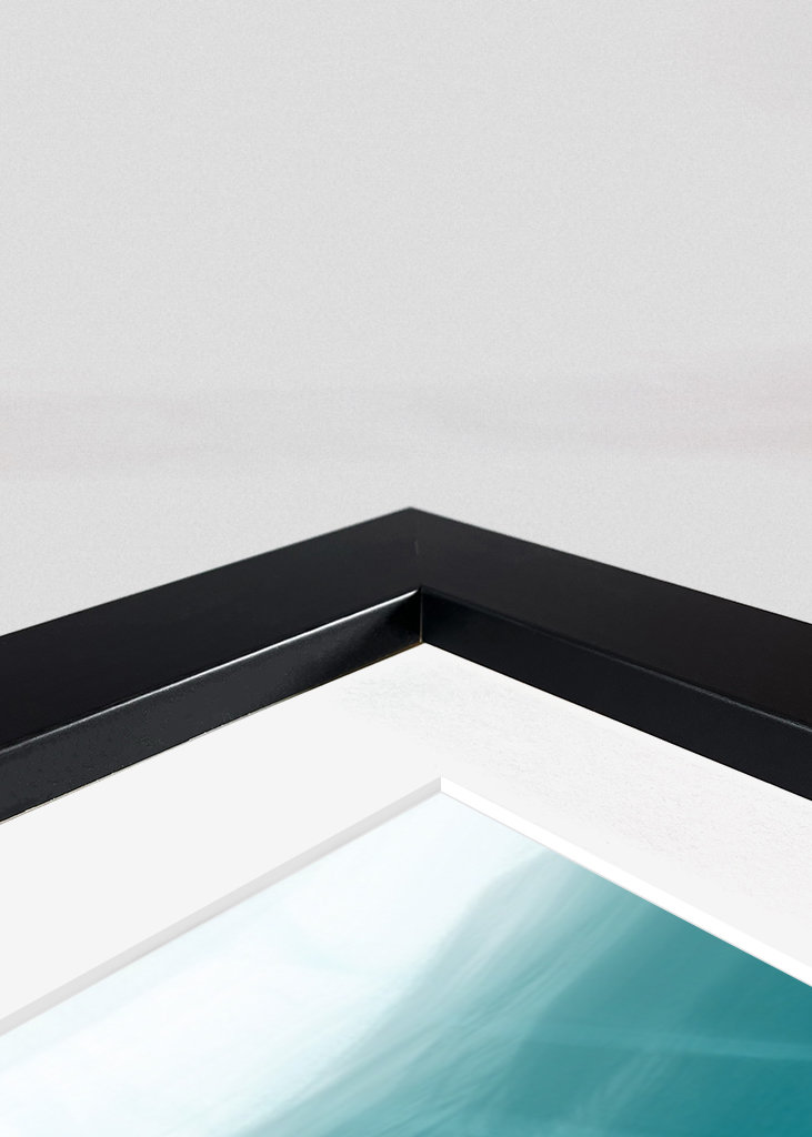 Amizade Subaquática