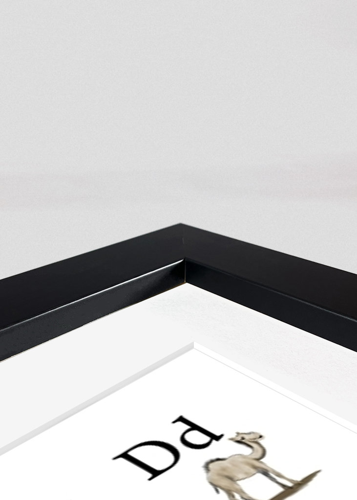 Alphabet big and small