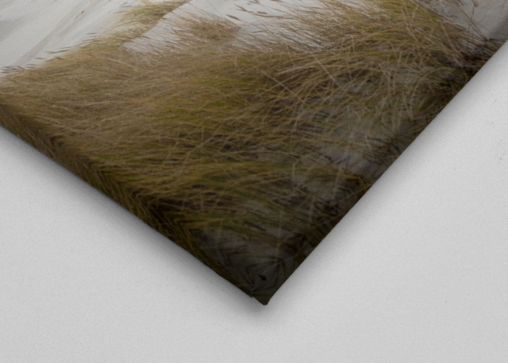 empty beach, sand and dunes