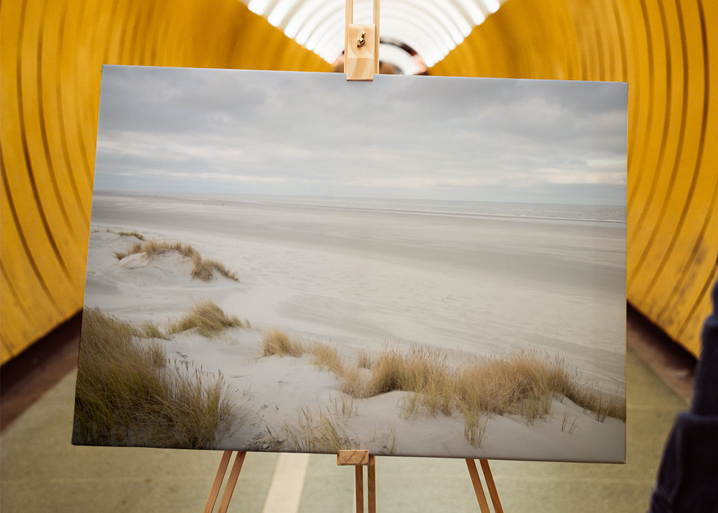 empty beach, sand and dunes