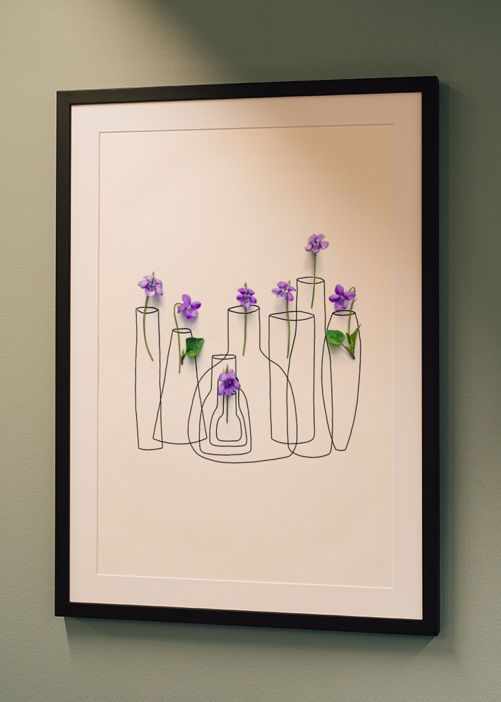 Violettes dans les vases