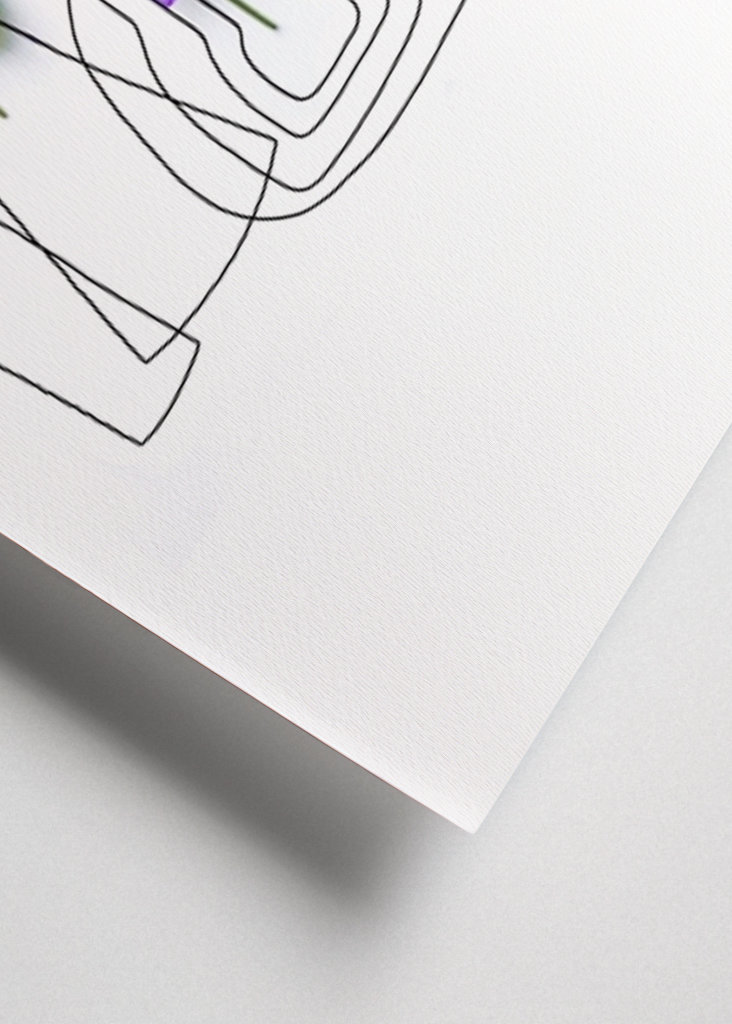 Violettes dans les vases