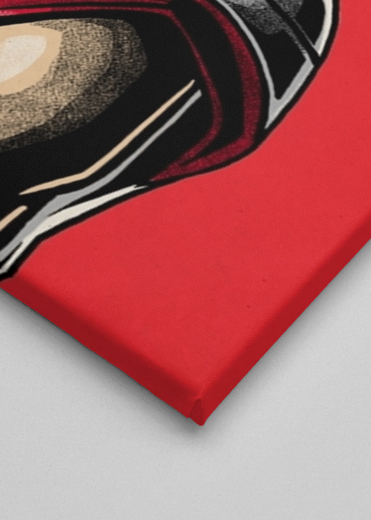 Pegasus Saint Seiya Anime