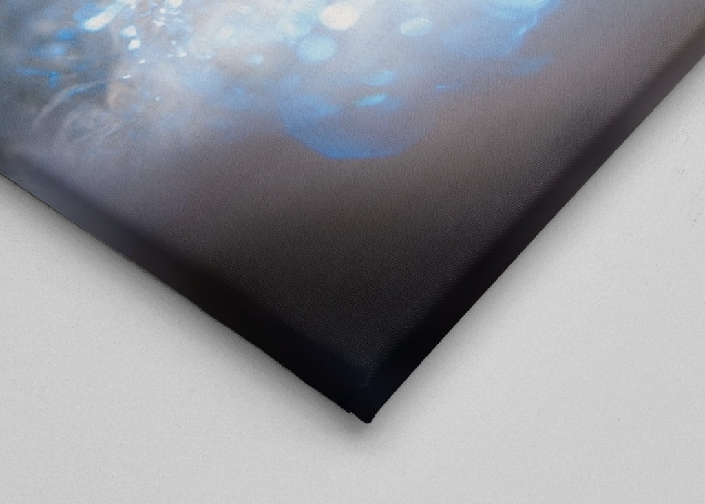 L’esprit de l’eau joue le 