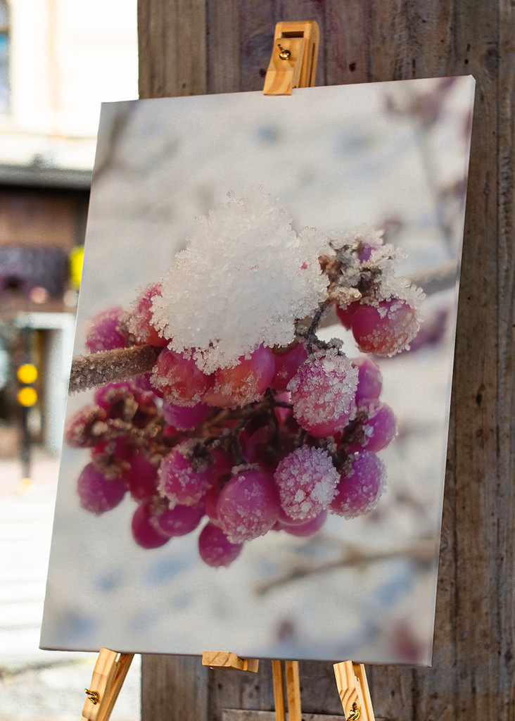 Couleurs de l’hiver
