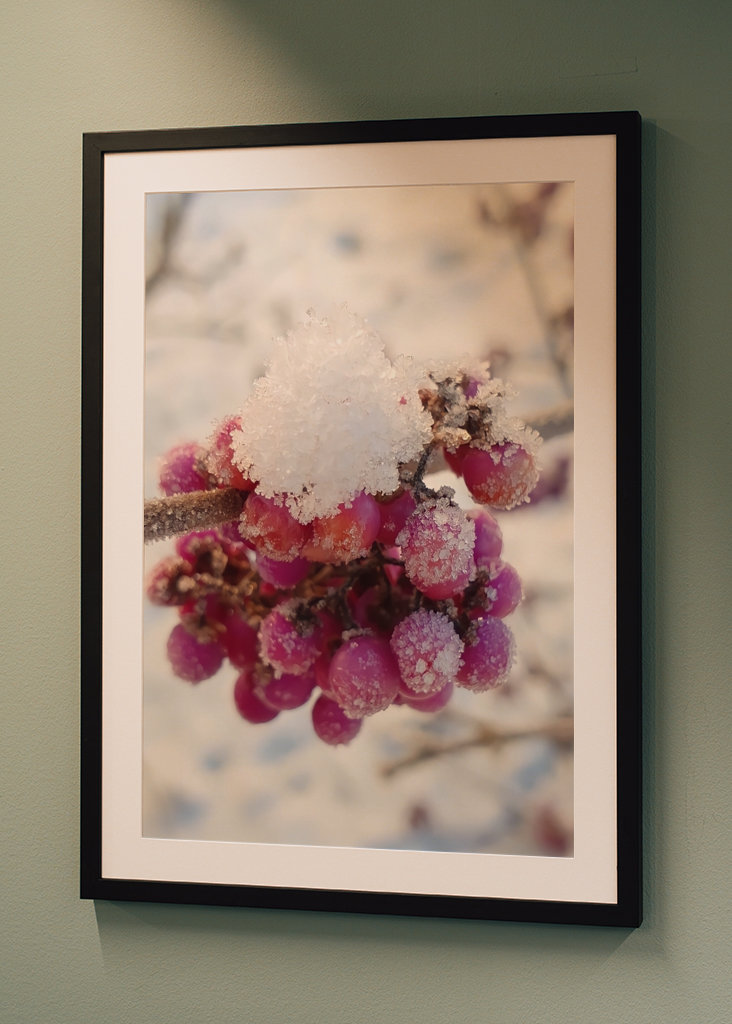 Couleurs de l’hiver