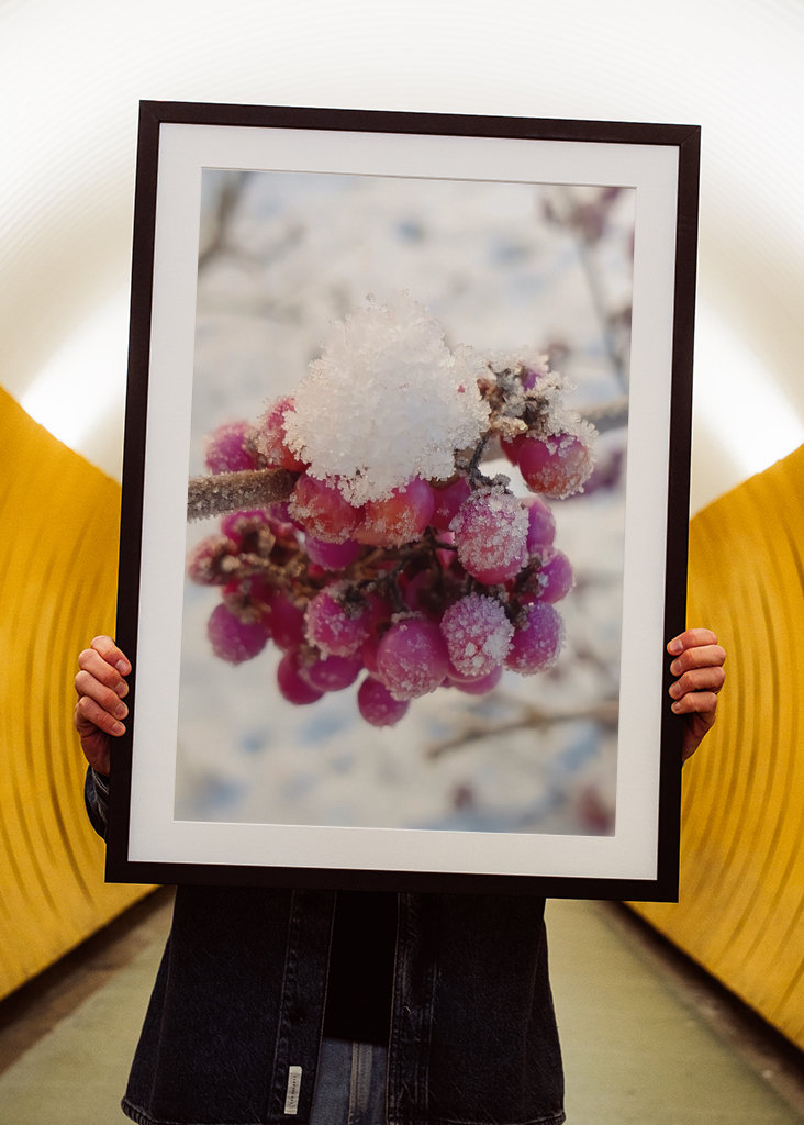 Couleurs de l’hiver