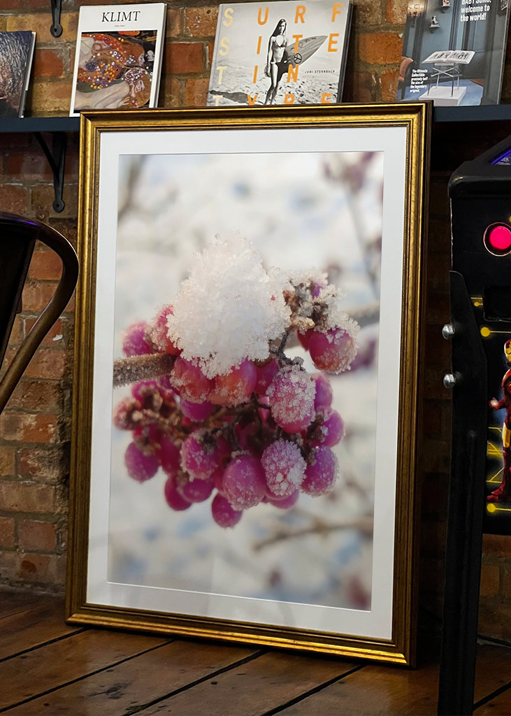 Couleurs de l’hiver