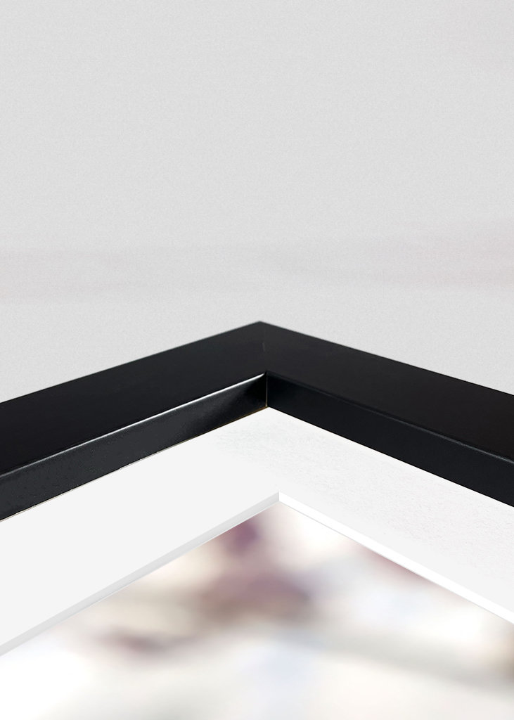 Couleurs de l’hiver