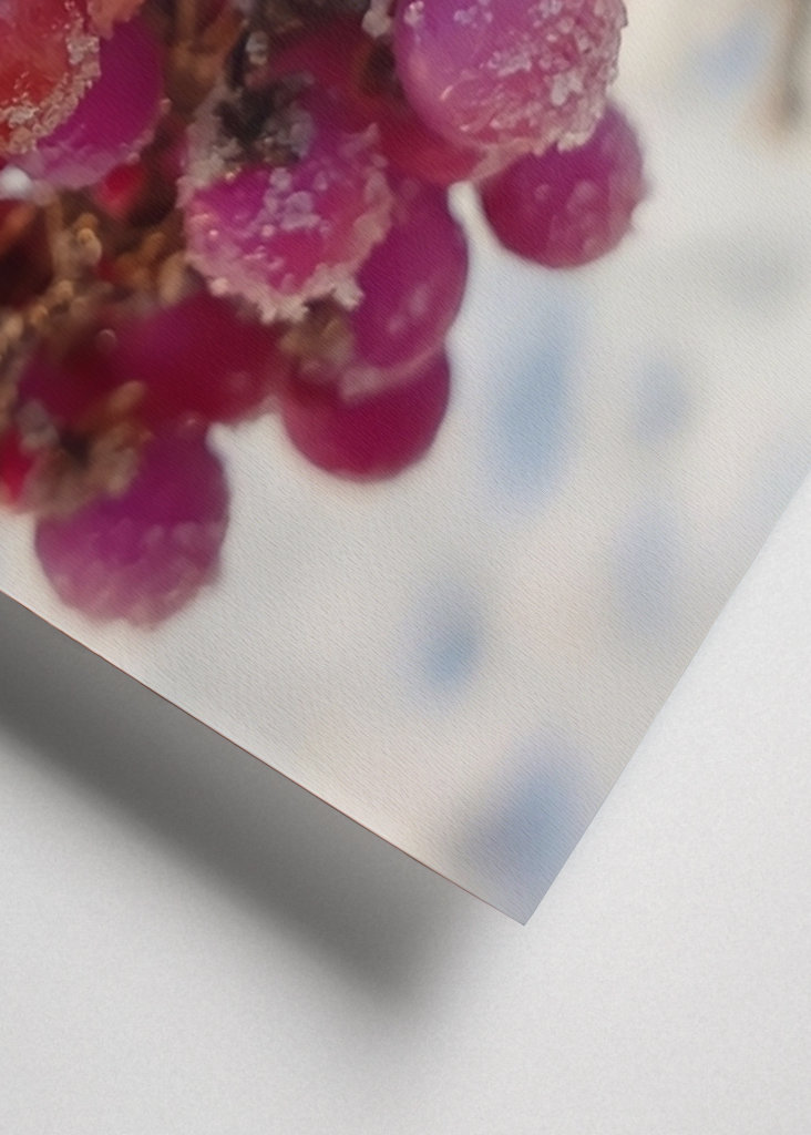 Couleurs de l’hiver