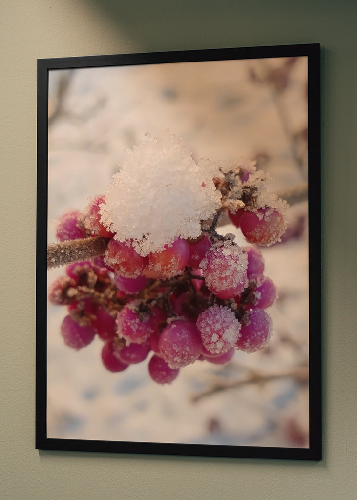 Couleurs de l’hiver