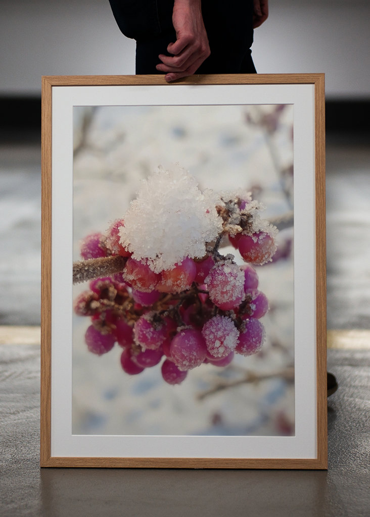 Couleurs de l’hiver