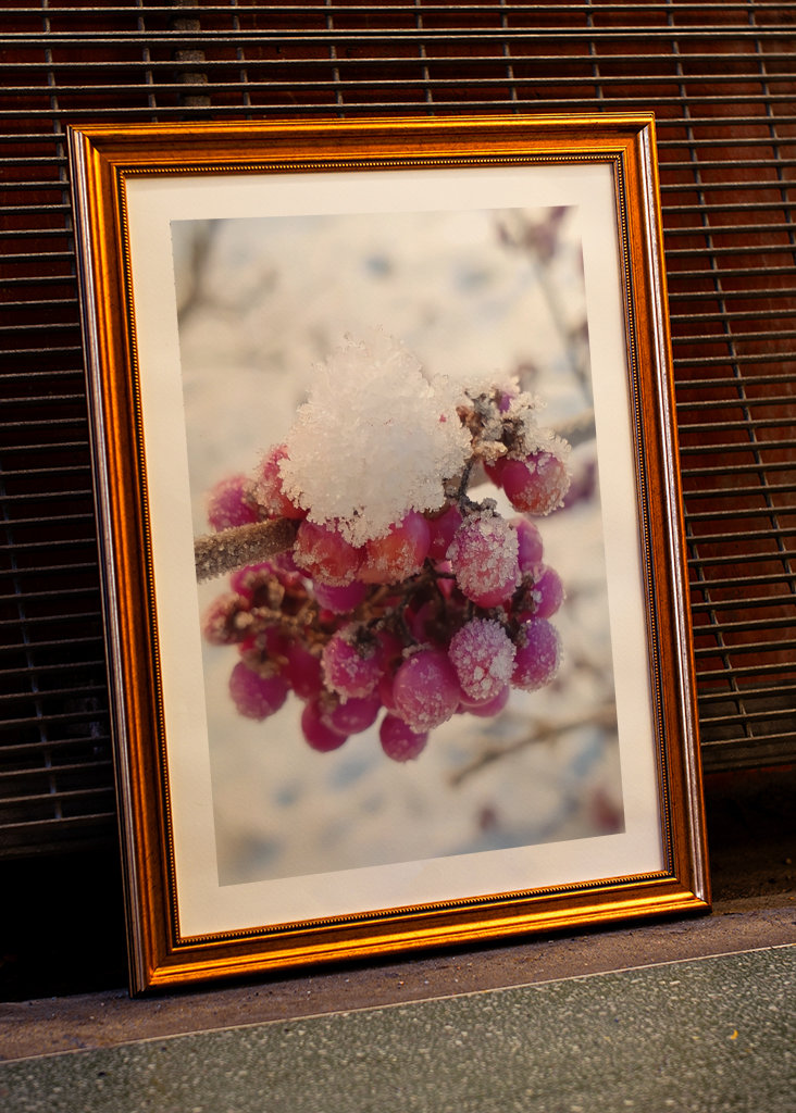 Couleurs de l’hiver