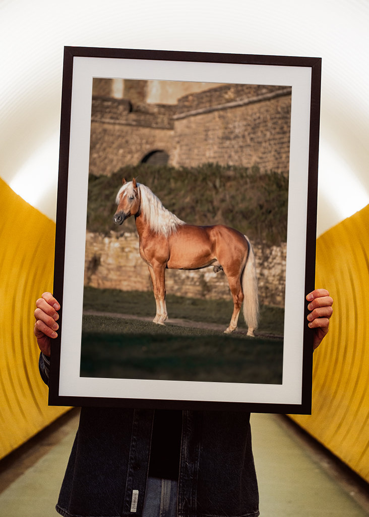 Etalon au soleil du matin