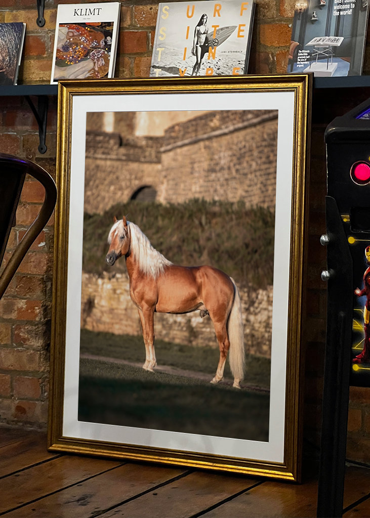 Etalon au soleil du matin