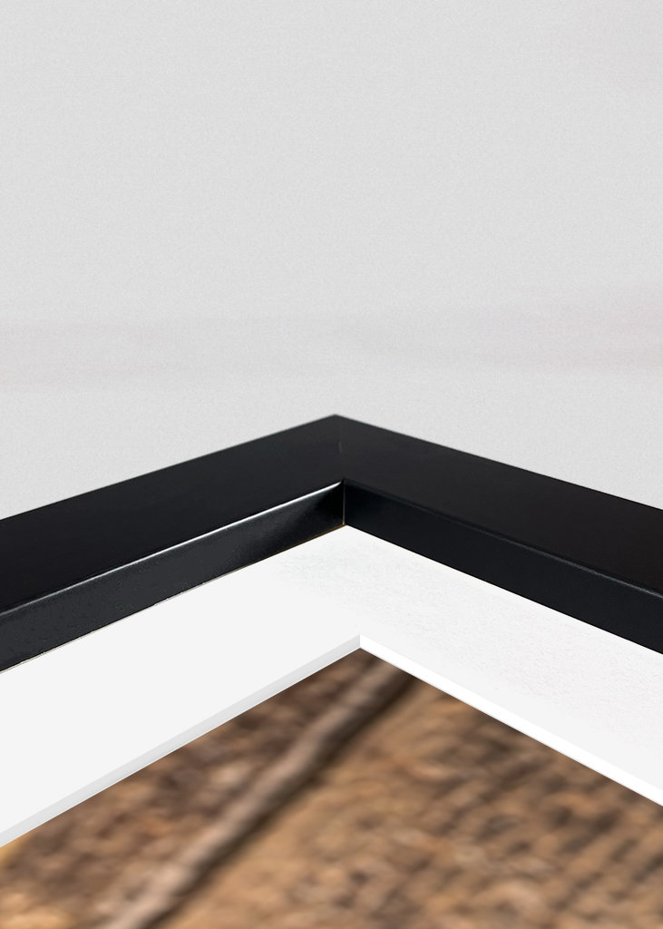 Etalon au soleil du matin