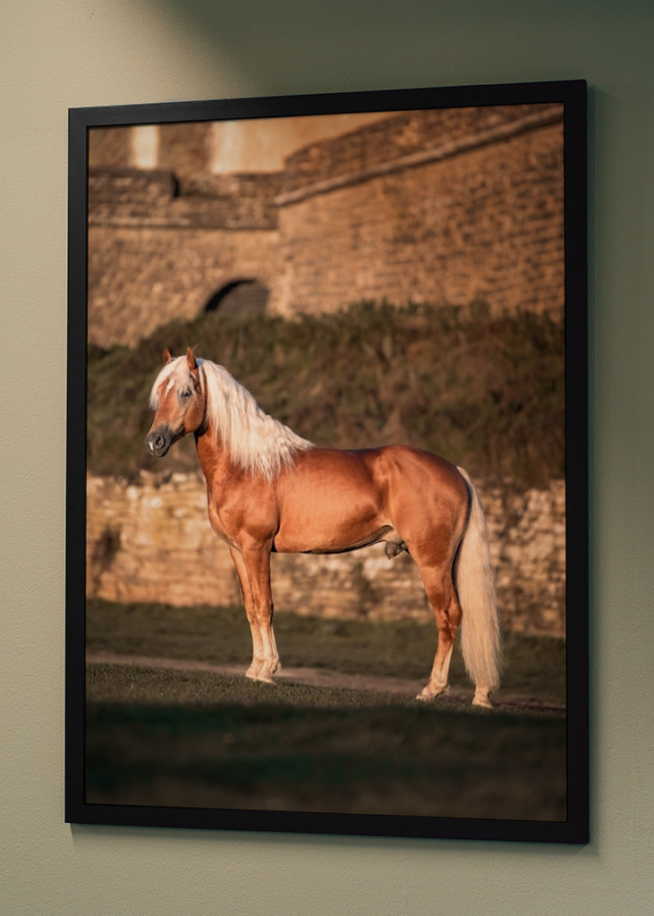 Etalon au soleil du matin