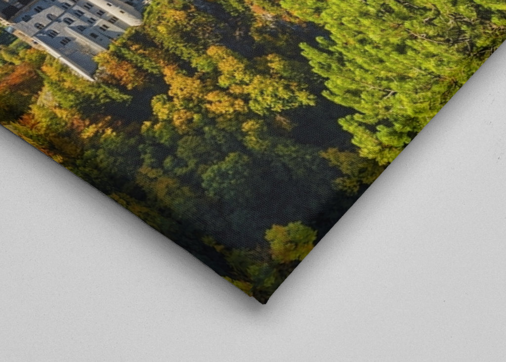 Château de Neuschwanstein