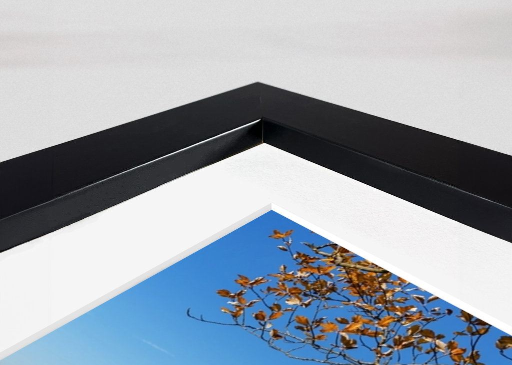 Château de Neuschwanstein