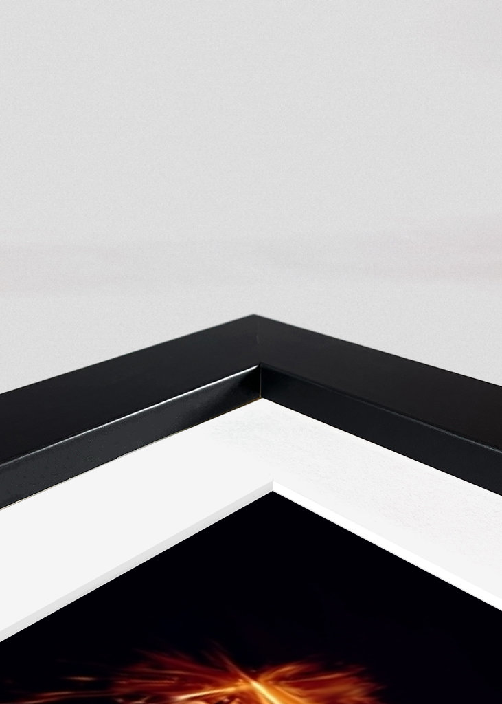 Pop art de Serena Williams