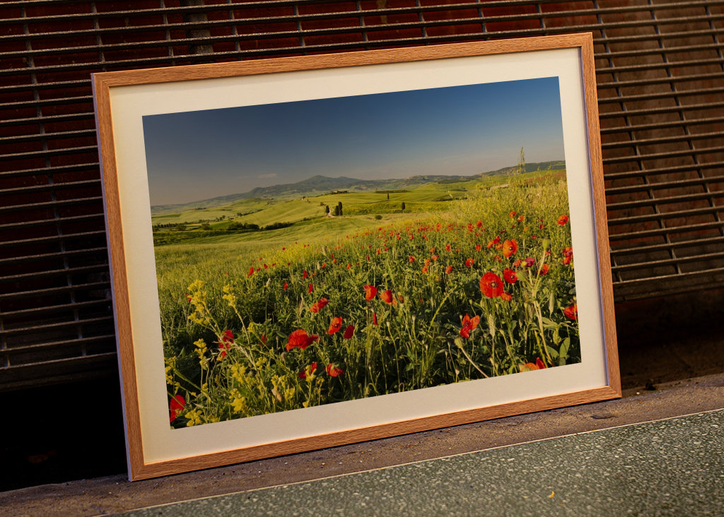 Primavera en la Toscana
