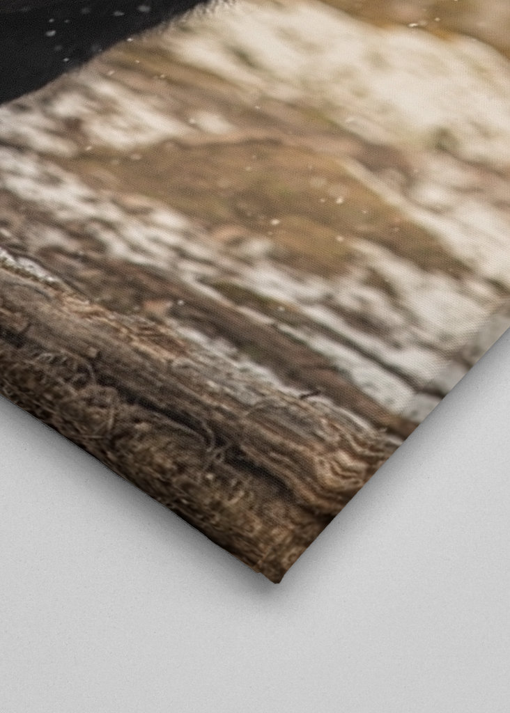 Pony con fiocchi di neve