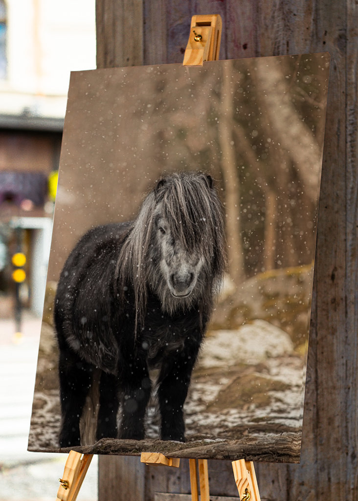 Pony con fiocchi di neve